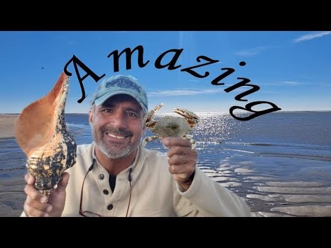 Shelling In most-visited state park facility in SC was so good full of history