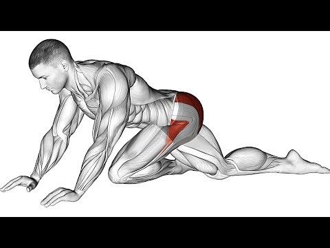 The Optimal Morning Exercise Routine