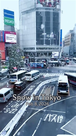 Snow in Tokyo today (February 8th, 2026)@japanwondertravel #traveltokyo #snowytokyo #snowyday