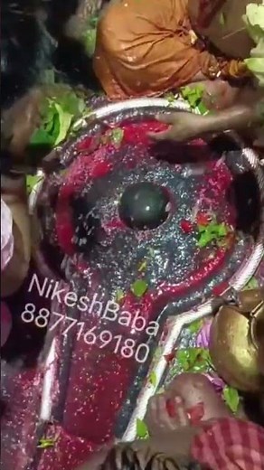 27.05.2023 Baba🔱 Baidyanath Dham Darshan #jyotirling #deoghar #babadham #हर#हर #महादेव 🙏🙏