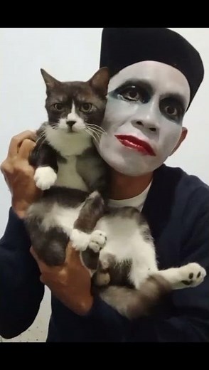 FUNNY PANTOMIME WITH CAT AND LIGHT | SILENT COMEDY GOLD #mime #mimes #pantomime #pantomim