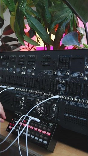 Korg SQ-1 and ARP 2600 M Sequence Sound Design