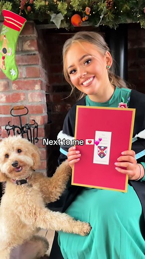 Adorable Cockapoo Moments Captured