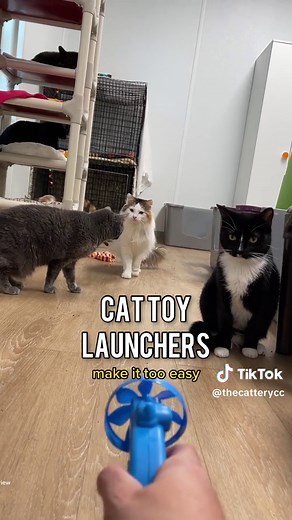 TikTok - Make Your Day