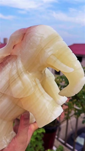 New Afghanistan jade elephant | Appreciation of Rough Crystal