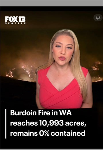 7.9K views · 591 reactions | Burdoin Fire- The largest active wildfire burning in WA state nears 11,000 acres & 0% containment. What local firefighters are saying tonight. #washington #washingtonfires #wildfire #burdoinfire #hoodriver #fox13news | Claire Anderson | Facebook