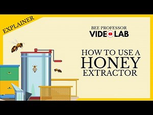 How To Use A Honey Extractor - Practical 6-Step Beginner's Guide
