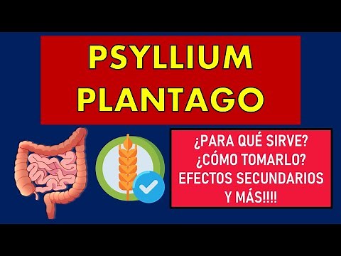 🔴 PSYLLIUM PLANTAGO | PARA QUÉ SIRVE, EFECTOS SECUNDARIOS, MECANISMO DE ACCIÓN Y CONTRAINDICACIONES