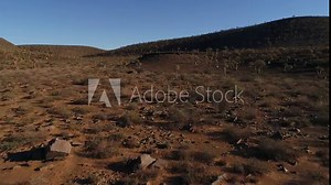 Stunning aerial views over the old Quiver tree forest outside Nieuwoudtville in the Northern Cape of South Africa