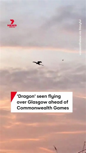 The only country that could do it 😂😂 VC: @7NEWS Australia #fyp #blowthisup #animals #nature #xyzbca