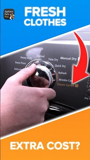 Steam Dryers: Game-Changer or Gimmick?