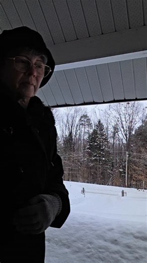 Sheila Nollert on Instagram: "Pssst...I want to tell you something... 🟢 There has never been a day as important as today for you to honour your body and all it does by moving it. Think about that. Act on that. In my outdoor gym this morning it looked like this: No equalizer bars? See my variations alongside each move below ⬇️ 1) Leg over with squat - variation: perform over a chair or just in the air. 2) Knee raises - variation: perform on the floor while lying on your back. 3) Extend and circl