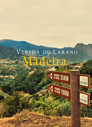 Vereda do Larano Madeira Portugal 🇵🇹 Vereda do Larano — Essential Trail Facts (Madeira) - Location: Eastern Madeira, connecting Machico and Porto da Cruz. - Type: Coastal cliffside trail with dramatic ocean views. - Status: Frequently used but not an official PR trail. - Distance: ~10–11 km one way. - Typical Duration: 3.5–4 hours (one way). - Overall Difficulty: Moderate. - Key Challenges: - Narrow, exposed cliffside sections. - Steep drops of 300 meters with no railings in many places. - Hig