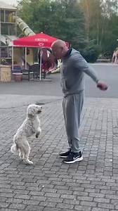 Most skips by a dog on the hind legs in 30 seconds ⏱️ 🐶32 by Balu and Wolfgang Lauenburger 🇩🇪 | Guinness World Records