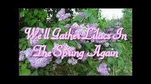 We'll Gather Lilacs In The Spring Again - Julie Andrews Chords - ChordU
