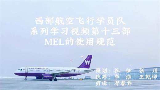 第十三部MEL使用规范