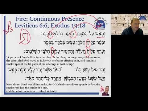The Grammar of Fire: Decoding the Passive "U" in Leviticus 6:6