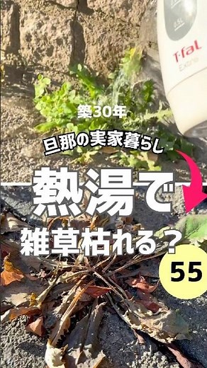【熱湯除草！検証してみた】築30年旦那の実家暮らし #ズボラ主婦 #汚庭 #雑草対策 #熱湯除草 #低収入 #vlog