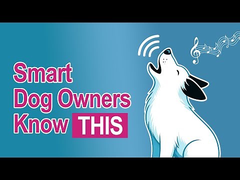 Why Do Dogs Howl at Certain Musics?