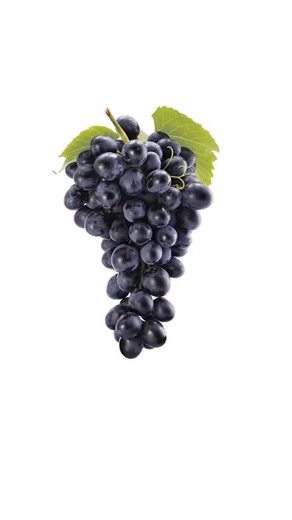 Hidesign👓 on Instagram: "How to Design a Grape #Design #Layoutdesign #Visualdesignart #Visual #GraphicDesigner #GraphicDesign #posterdesign #fyp"