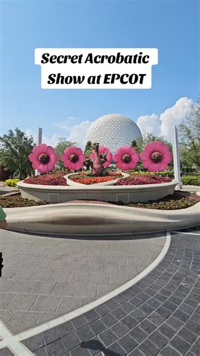 Did you know there is an Acrobatic Show at EPCOT? It's such a great show and definitely a must see show. #epcot #epcotball #disneyshow #wdw #disneyparks #disneytips #disneyworld #disneysecrets | Ani Ruiz