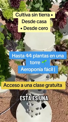 ¿Sabías que puedes cultivar decenas de plantas en una sola torre aeropónica? En mi MASTERCLASS GRATIS te enseño cómo empezar y cosechar paso a paso, aunque seas principiante 🌱 👉 Accede desde el link de mi perfil#Aeroponía #HidroponíaDesdeCero #TorreAeropónica #CultivarEnCasa #HuertaEnCasa
