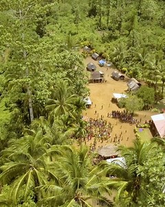 19K views · 377 reactions | The Connoisseur Rainforest Project, in...