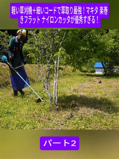 軽い草刈機＋細いコードで草取り最強！マキタ 楽巻きフラット ナイロンカッタが優秀すぎる！#2 #草刈り #農業 #BrushCutter #LawnCare #PowerTools #japan #viral #foryoupage❤️❤️ #fyp