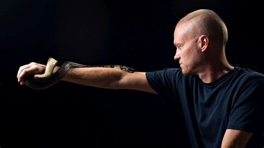 Scientist bitten by deadly snakes 200 TIMES could now save thousands of lives