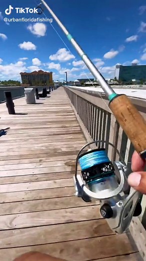 UrbanFloridaFishing on TikTok