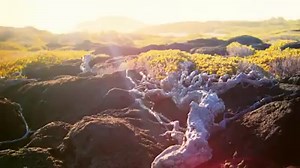 36K views · 866 reactions | Watch the stunning trailer of the Mystic Mauritius documentary, by brothers Damien and Alexis Dittberner. | air mauritius | Facebook