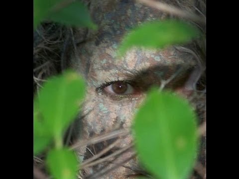 Principles of Natural Camouflage: Secrets of Invisibility
