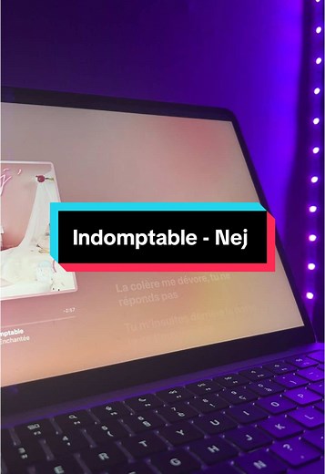 Indomptable - Nej : Découvrez cette Chanson Émotionnelle