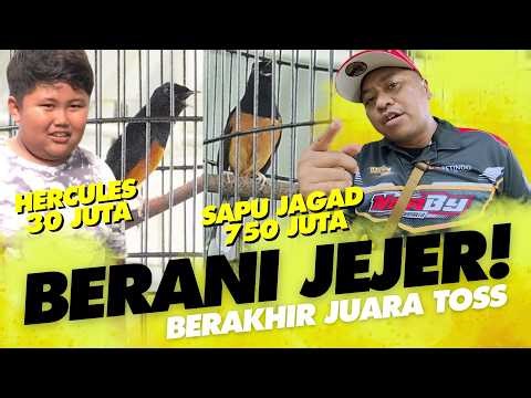 BOCIL BERANI JEJER😱Murai SAPU JAGAD vs HERCULES Jalu SF di PIALA SAHAT SMR #gagaksakti #ndarboygenk