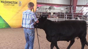 We're here to take care of your animals! | Valley Vet Supply