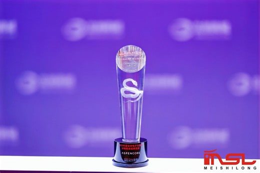 美时龙电子首次荣获2025全球电子元器件分销商卓越表现奖，年度成长之星分销商。-国际电子商情