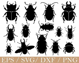 Beetles Svg, Beetles Silhouette, Dxf, Png - Etsy