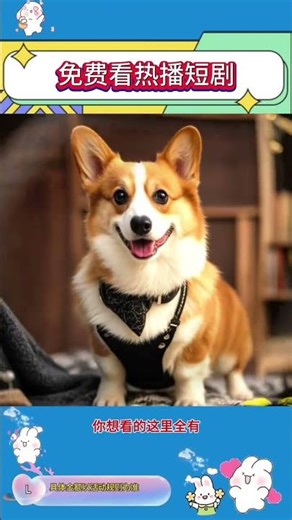 2026年的免费追剧神器 #你的短剧搭子#红果短剧 #追剧神器#追剧app推荐 #看剧