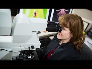 The Modern Parasitology Lab