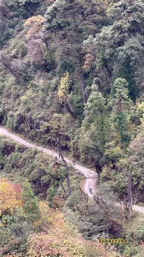 Ride into Nature's Paradise: A Scenic Motorcycle Journey