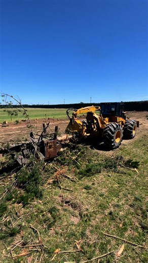 Putting the old delimber to good use #treefelling #forestry #landclearing | Wood N Tree