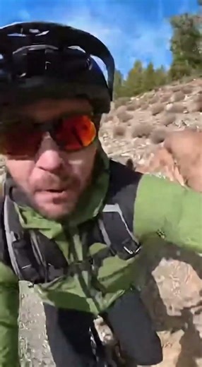 Cougar Ambush on a Mountain Bike Trail