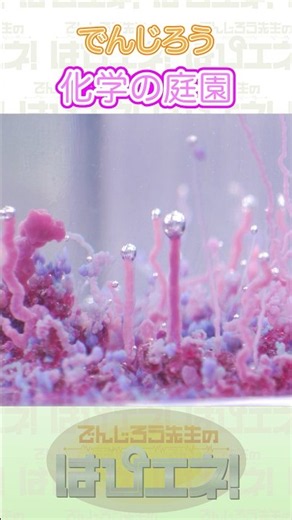 ↑本編はリンクから↑科学の庭園 #Shorts #でんじろう先生 #実験 #science #はぴエネ #科学