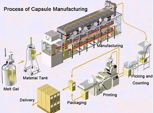 [Hot Item] 0# Gelatin Capsule Production Equipment Capsule Spare Parts