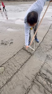 Sea Clams HUNTiNG in Taiwan | 𝐊𝐚𝐒𝐡𝐨𝐊𝐨𝐲