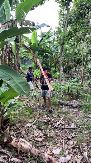 Proses Pembuatan Rumah Pohon Part 2