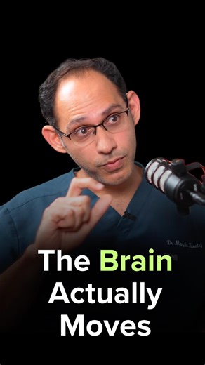 The Brain Actually Moves