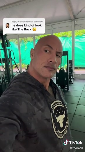 Reply to @dillonfrancis Who’s eyebrow is stronger though? 🤨 #DwayneJohnson #TheRock