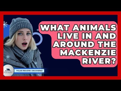 What Animals Live In And Around The Mackenzie River? - Polar Regions Uncovered