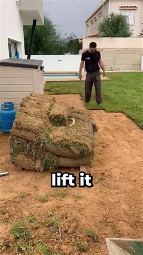 Carpet Grass. #shorts